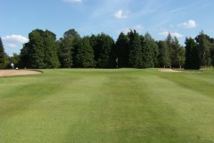 1stgreen