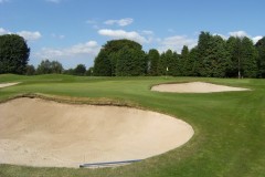 5thgreen3