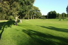 7th-green