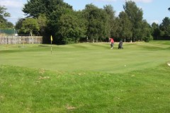 8th green