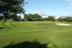 9-Green